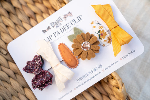 Babies First Hair Clips (Set of 6) - Fleur